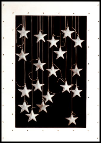 Stars (24) Frames series 27” x 38” aluminum, stainless steel, paint, lead